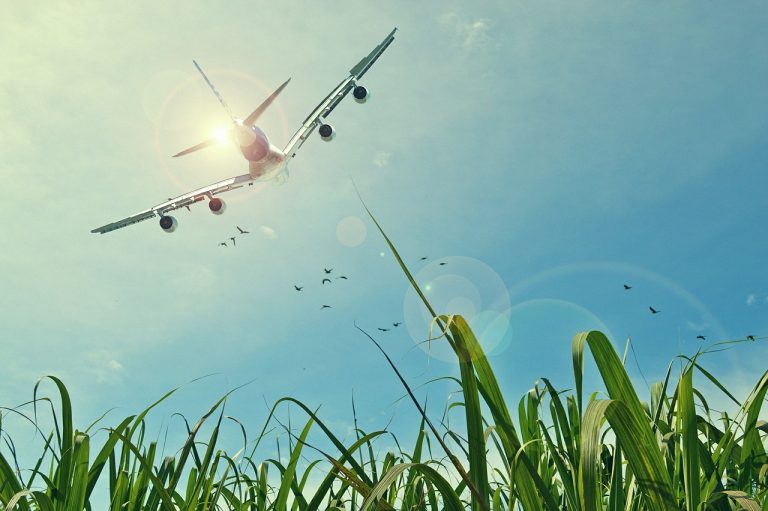 GRÜNE im Kreistag: Auf unnötige Flüge verzichten – das Klima schützen!