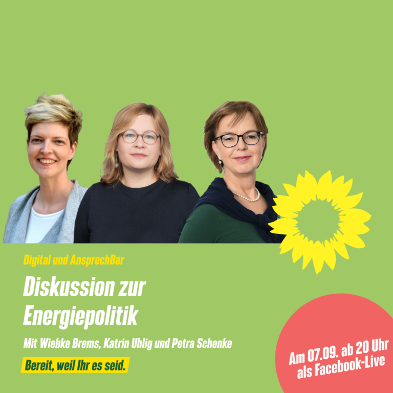 Diskussion zur Energiepolitik: Katrin Uhlig, Wibke Brems und Petra Schenke